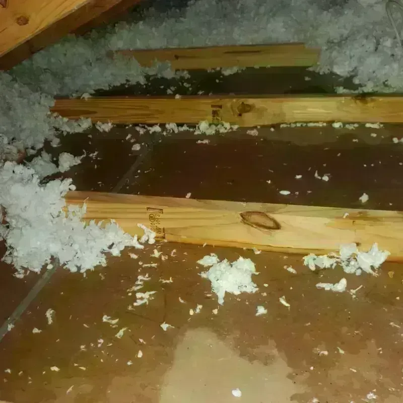 Attic Water Damage in Clark County, IL