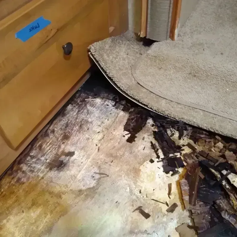 Wood Floor Water Damage in Clark County, IL